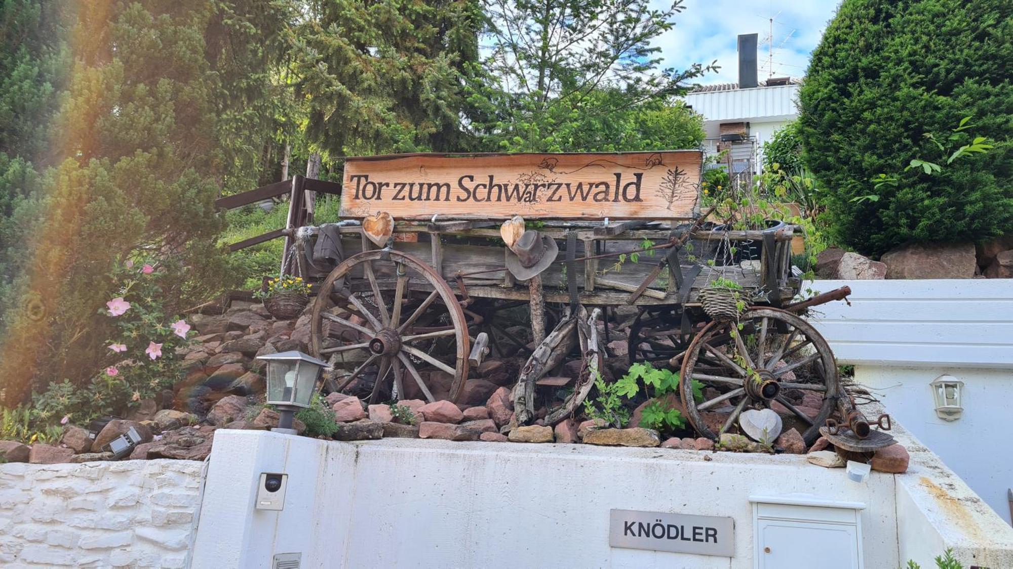 'Tor Zum Schwarzwald' Ferienwohnungen Mit Sauna Wildberg  المظهر الخارجي الصورة